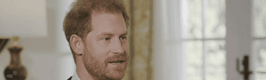What has Prince Harry alleged?