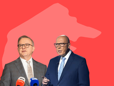 What's happening in the ACT this federal election?