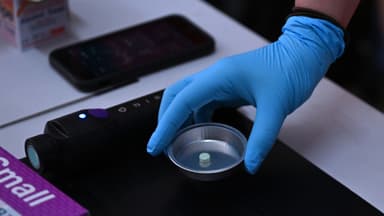 Vic records highest number of drug overdose deaths in decade