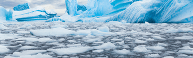 Sea ice levels in Antarctica have reached a record low