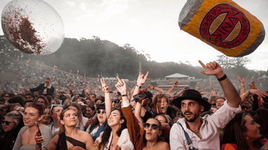 Splendour in the Grass has been cancelled for 2024
