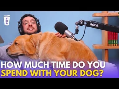The changing laws of pet ownership