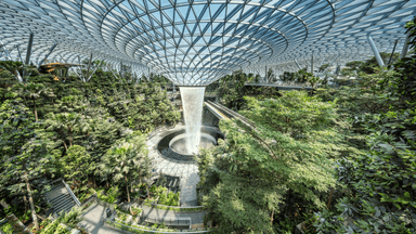 Changi Airport is rolling out passport-free travel