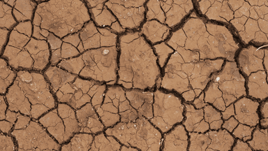 Parts of South Australia and Victoria are in drought
