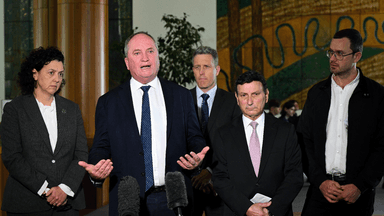 Australian politicians are in the U.S. to convince lawmakers to free Julian Assange