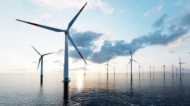 A Senate inquiry will probe online climate disinformation