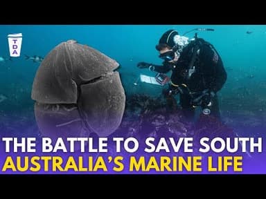 The marine disaster threatening South Australia