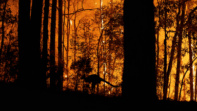 Is Australia prepared for bushfire season?