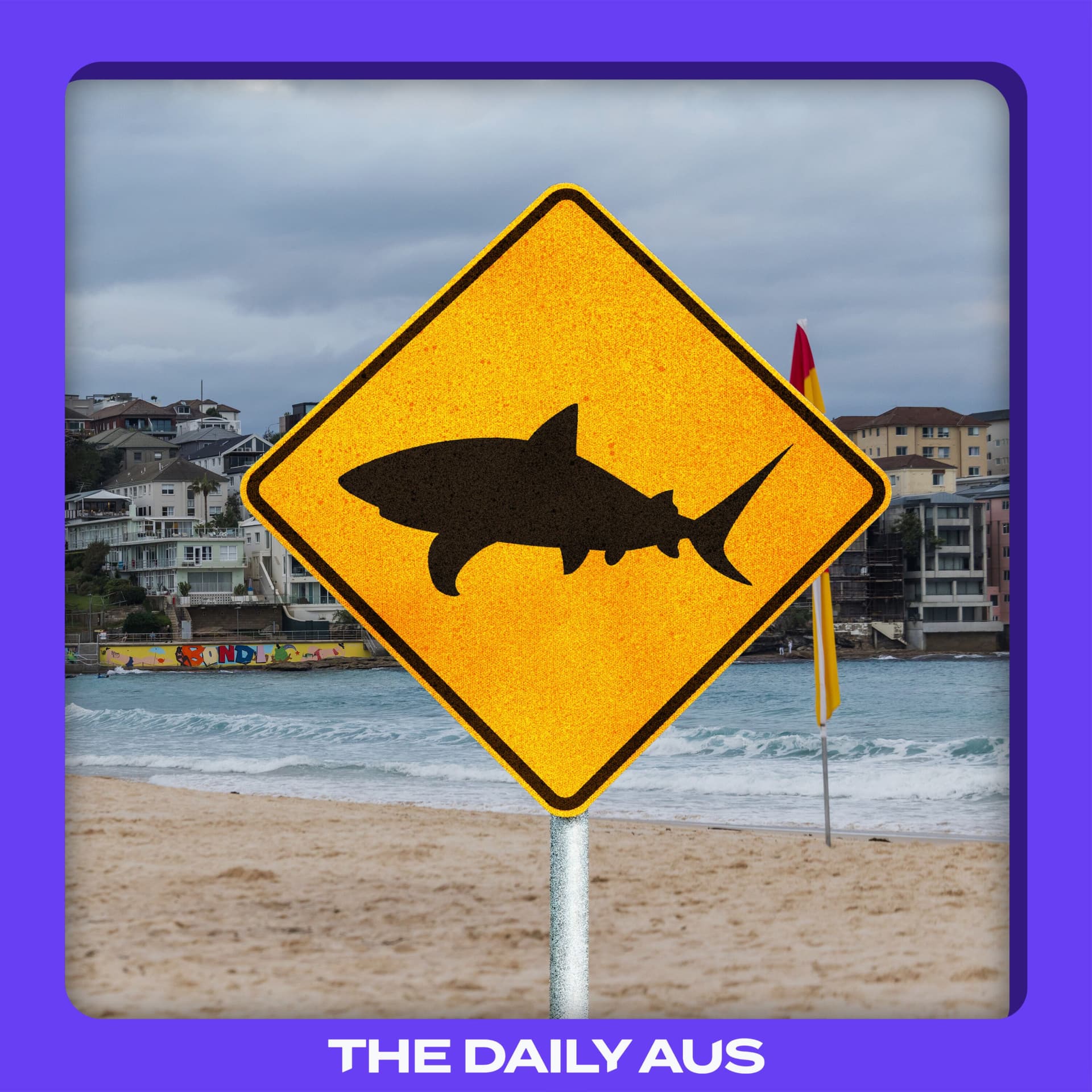 Can we prevent shark attacks?