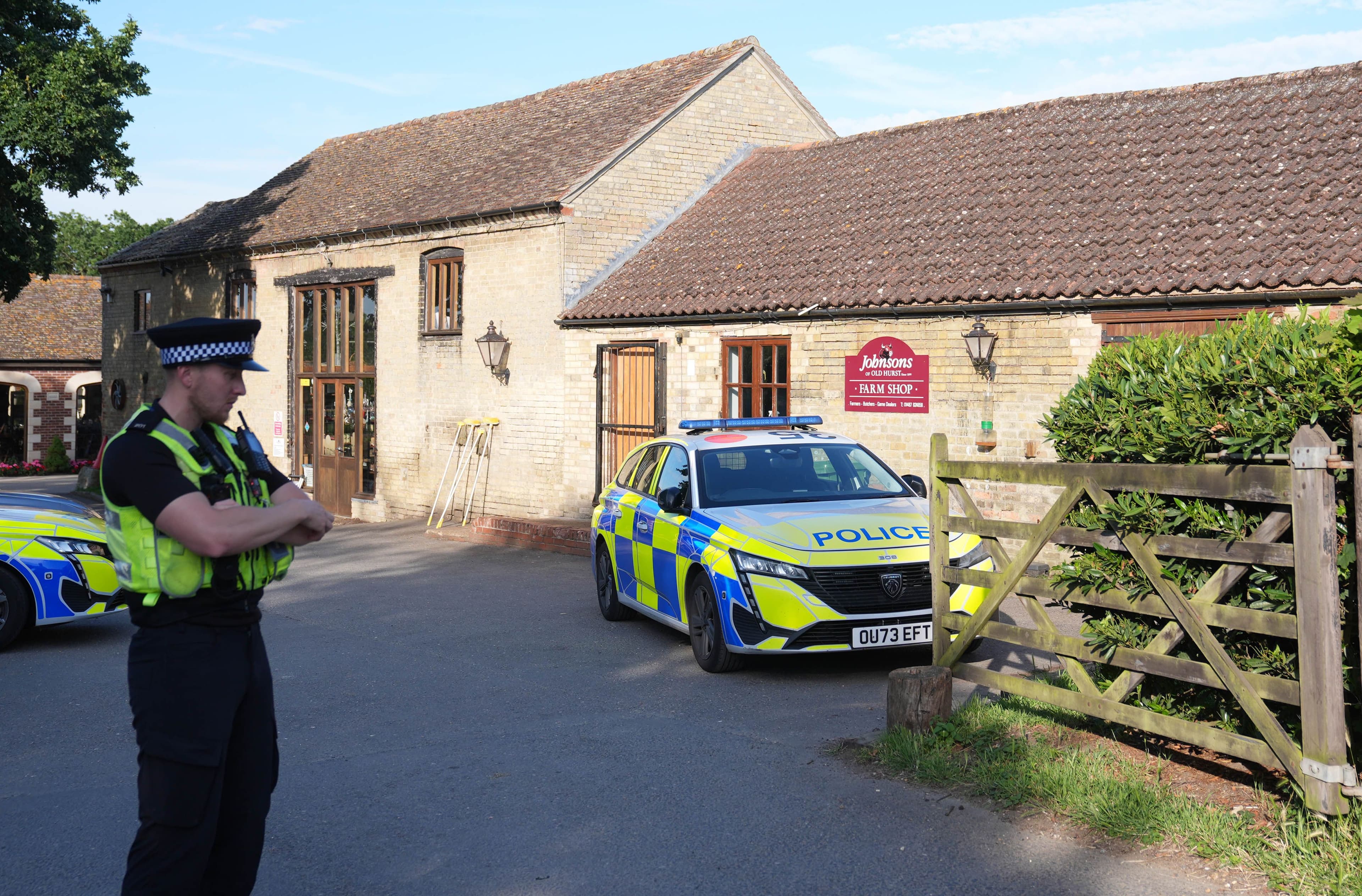 Three-year-old hurt in UK crocodile enclosure, man arrested
