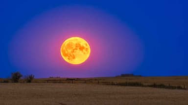Look up Australia, there’s a blue supermoon tonight