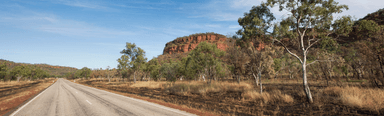 Road deaths rose in almost every state and territory in the past 12 months