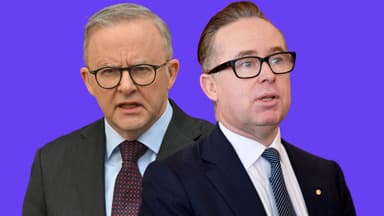Prime Minister Anthony Albanese accused of asking ex-Qantas boss for flight upgrades
