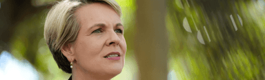 Offshore wind farm plans blocked in Victoria