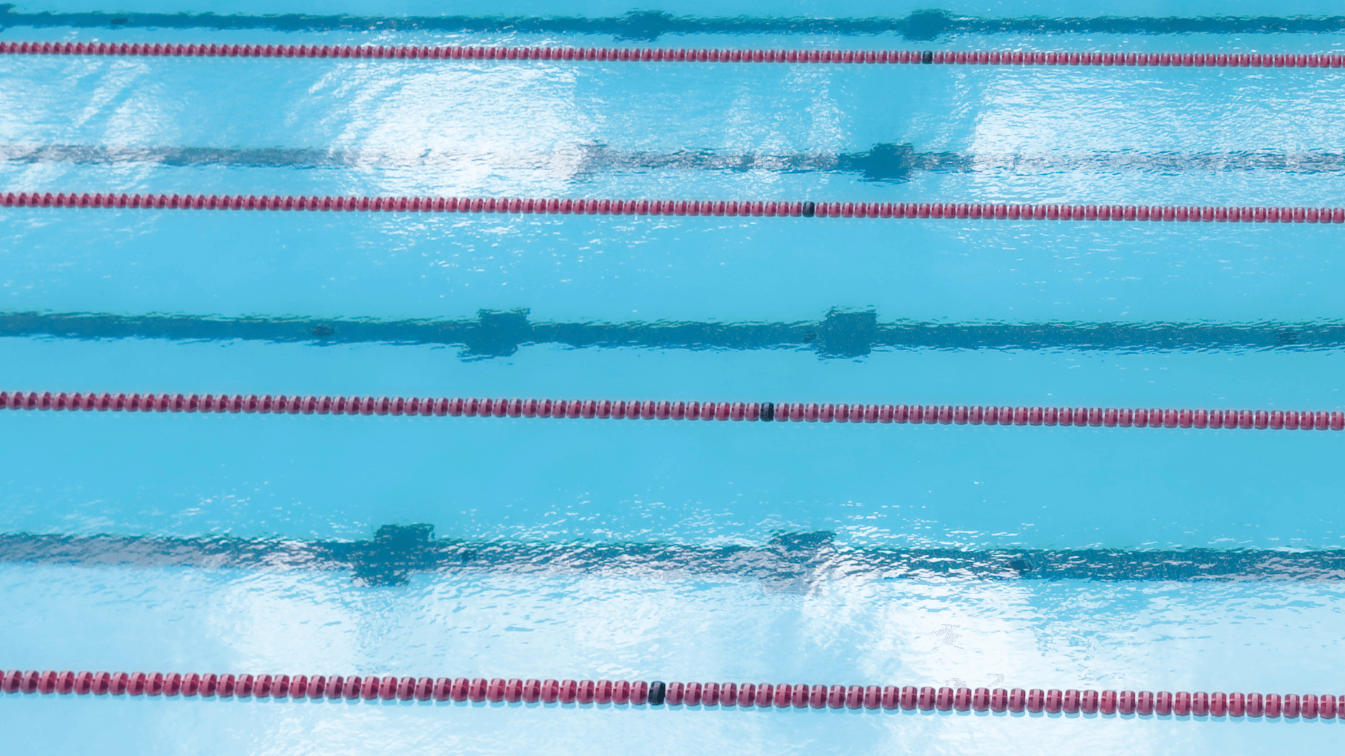 World Aquatics has announced an ‘open category’ for gender-diverse athletes
