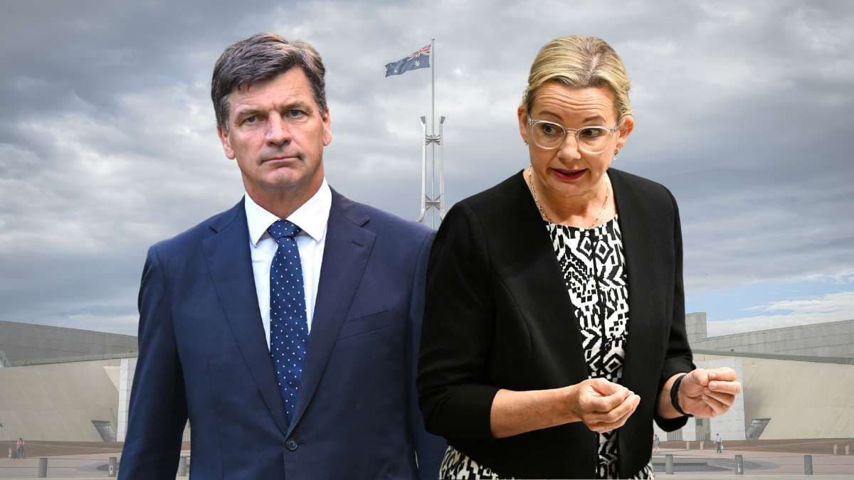 Angus Taylor or Sussan Ley will lead the Liberal Party