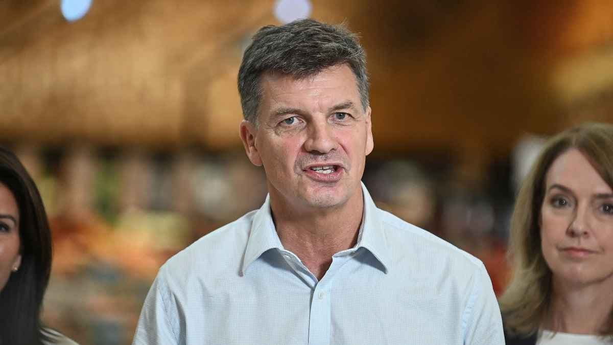 Who is the new leader of the Liberal Party: Angus Taylor?