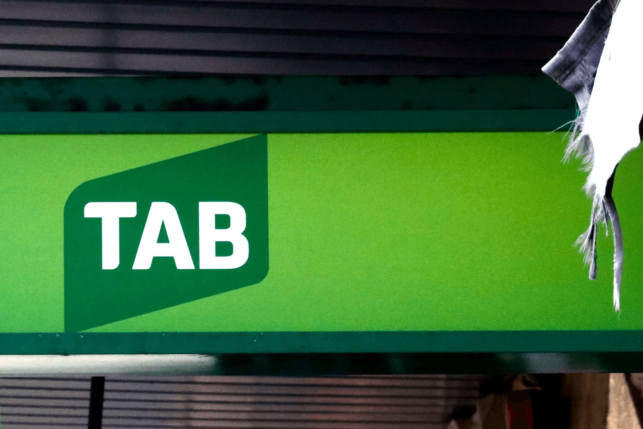 TAB has been fined $4 million for spamming VIP customers