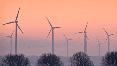 Is Australia on track to reach net zero by 2050?