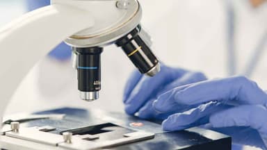 World's first endometriosis institute established in Sydney