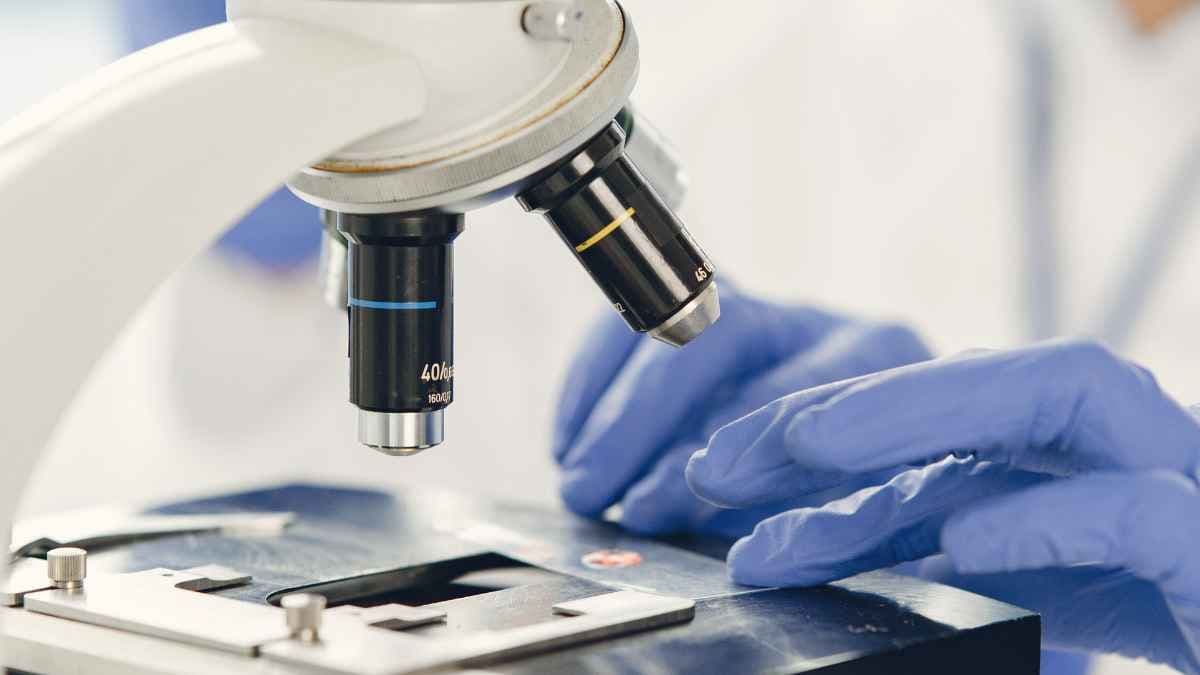 World's first endometriosis institute established in Sydney