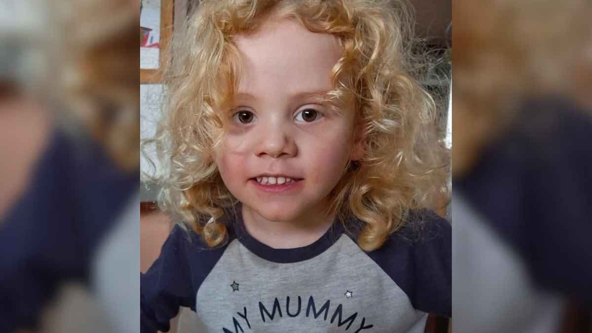 Police renew search for missing SA 4-year-old Gus Lamont